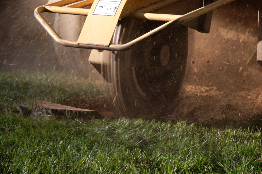 Stump Grinding Walled Lake MI - The Tree Corp - iStock_897451_SMALL