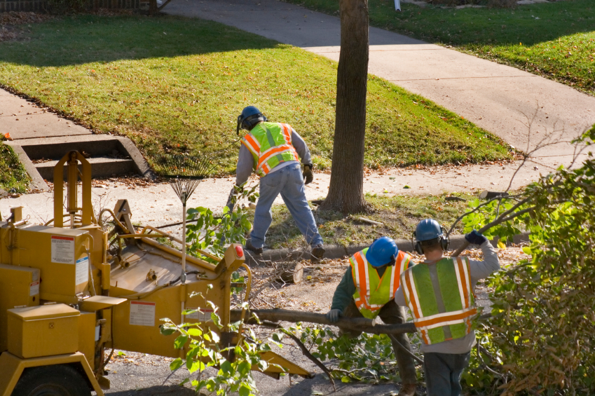 Tree Removal & Stump Grinding Highland, MI | The Tree Corp. - tree_work_iStock_000002339210Small